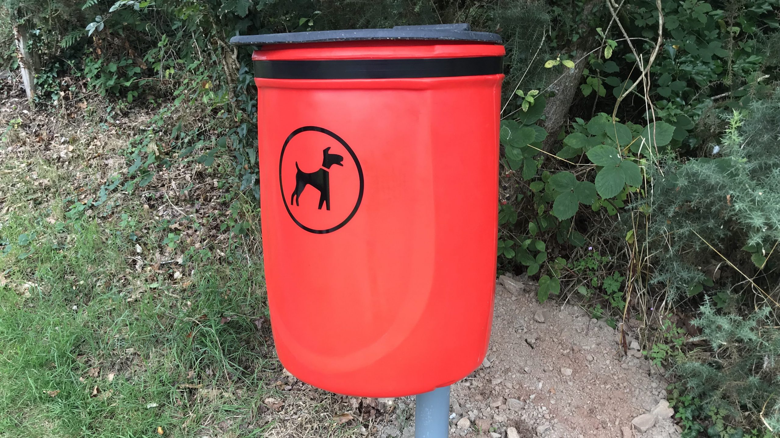 Read more about the article New Dog Mess Bin at Village Hall