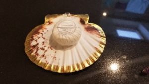 Soap on a scallop shell